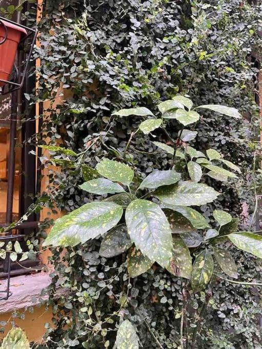 Loft Di Design Nel Cuore Di Milano Buitenkant foto